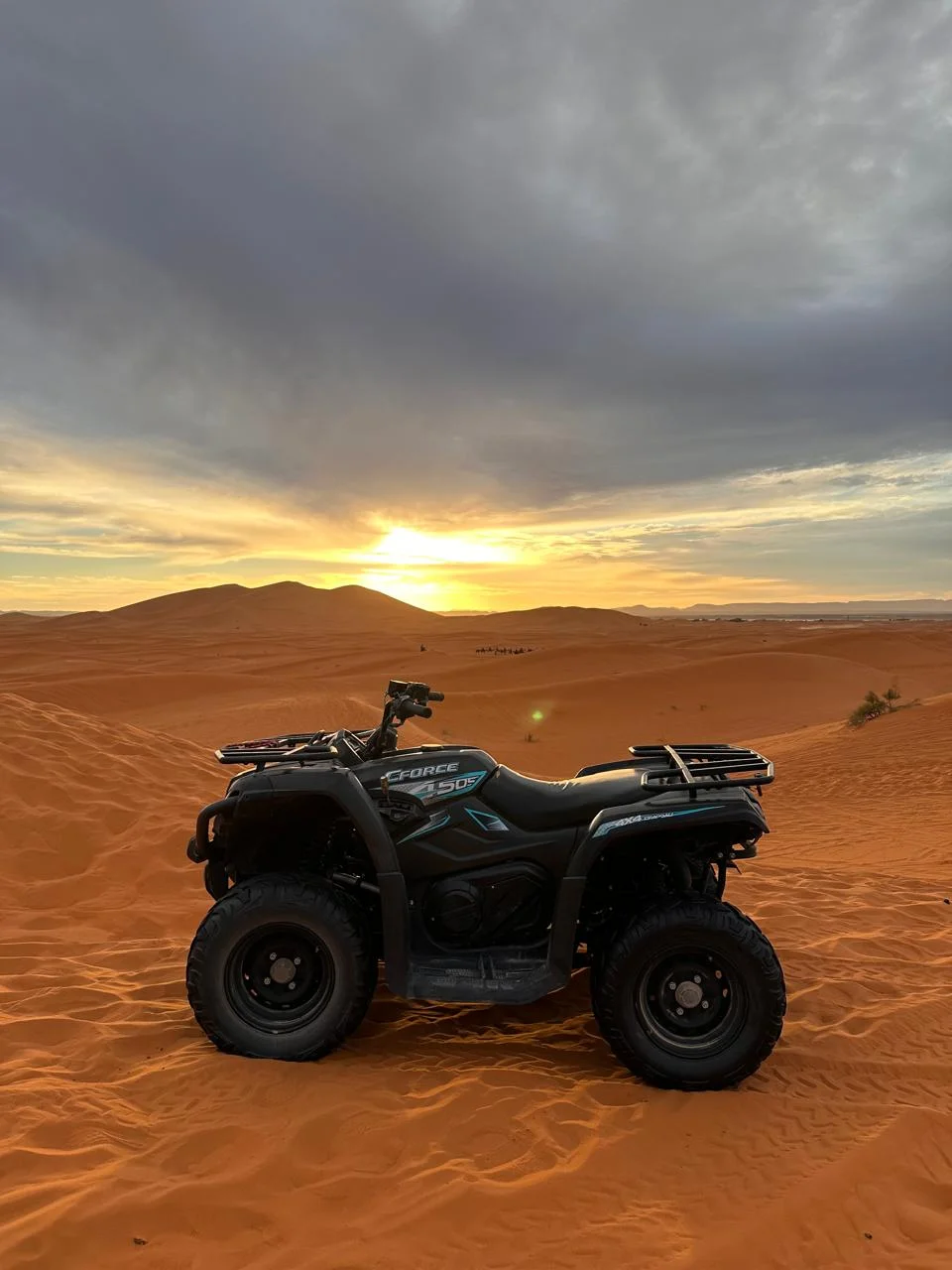 Marrakech Quad or Buggy Tour