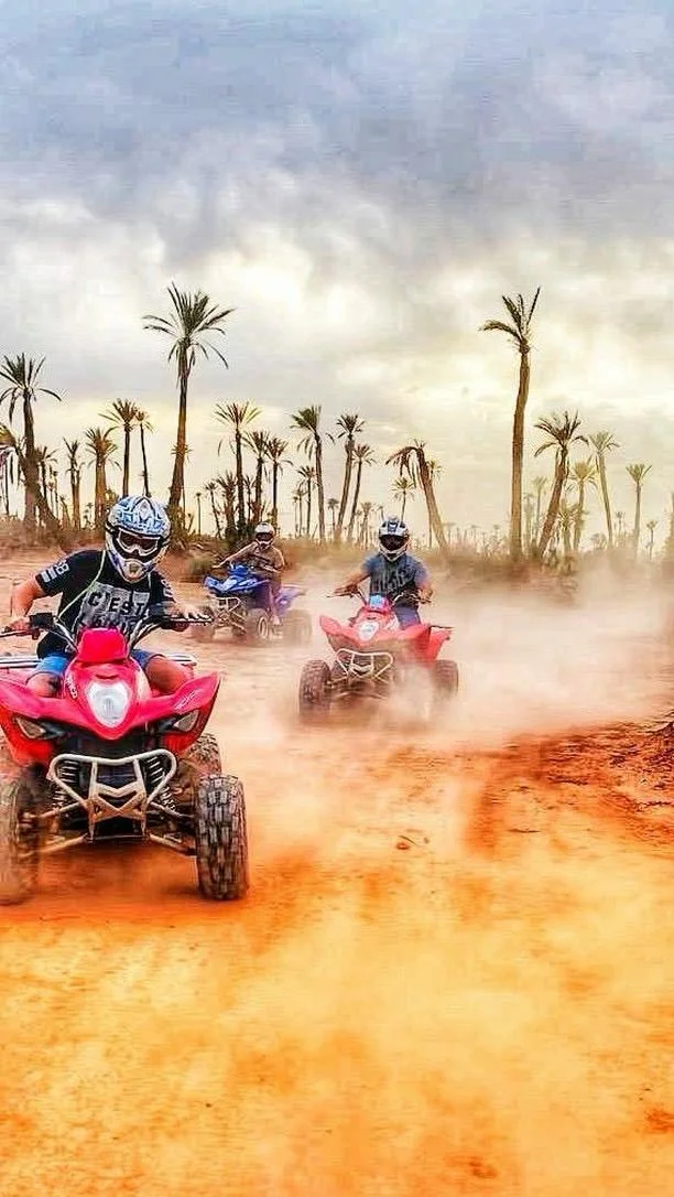 Quad bikers riding among palm trees in Morocco