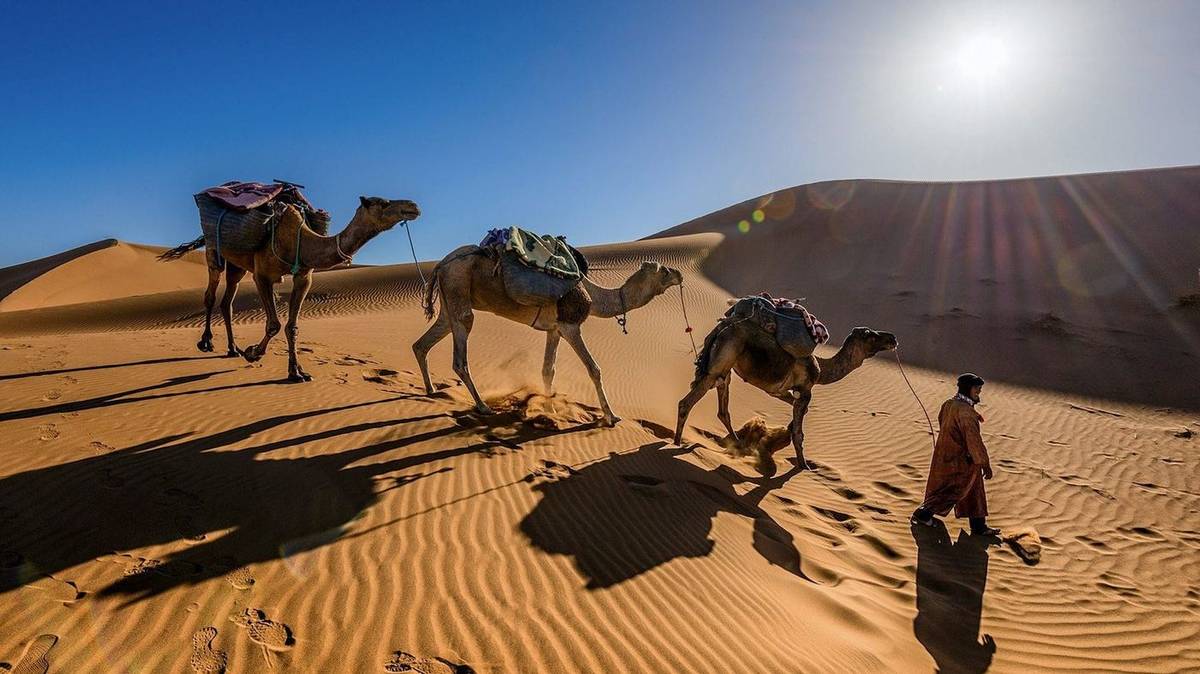 10-Day Complete Morocco Tour from Fes