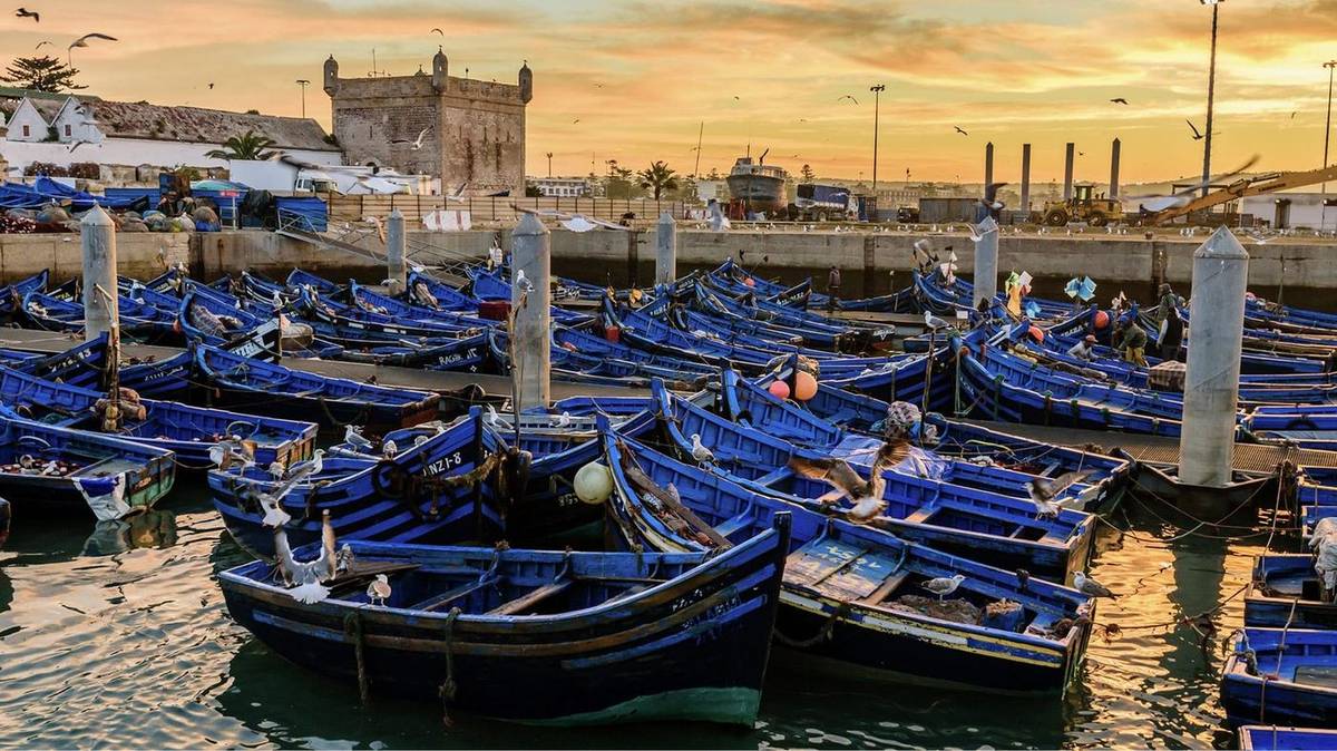 12-Day Casablanca: Essence of Morocco Tour