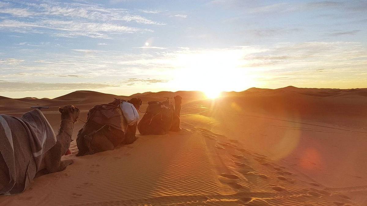 3-Day Marrakech to Fes Desert Tour via Merzouga