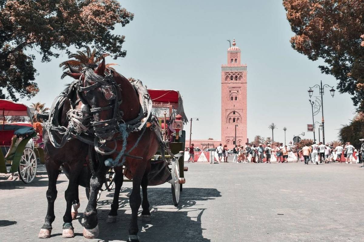 6-Day Imperial Cities Tour from Fes to Marrakech