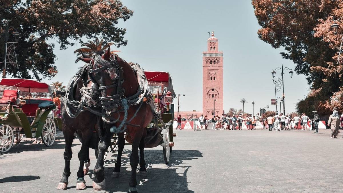 8-Day Imperial Cities and Chefchaouen Tour from Marrakech