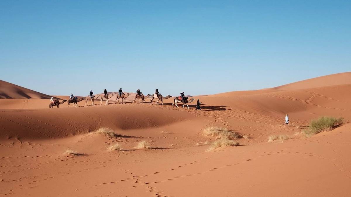 8-Day Imperial Cities and Desert Tour from Casablanca