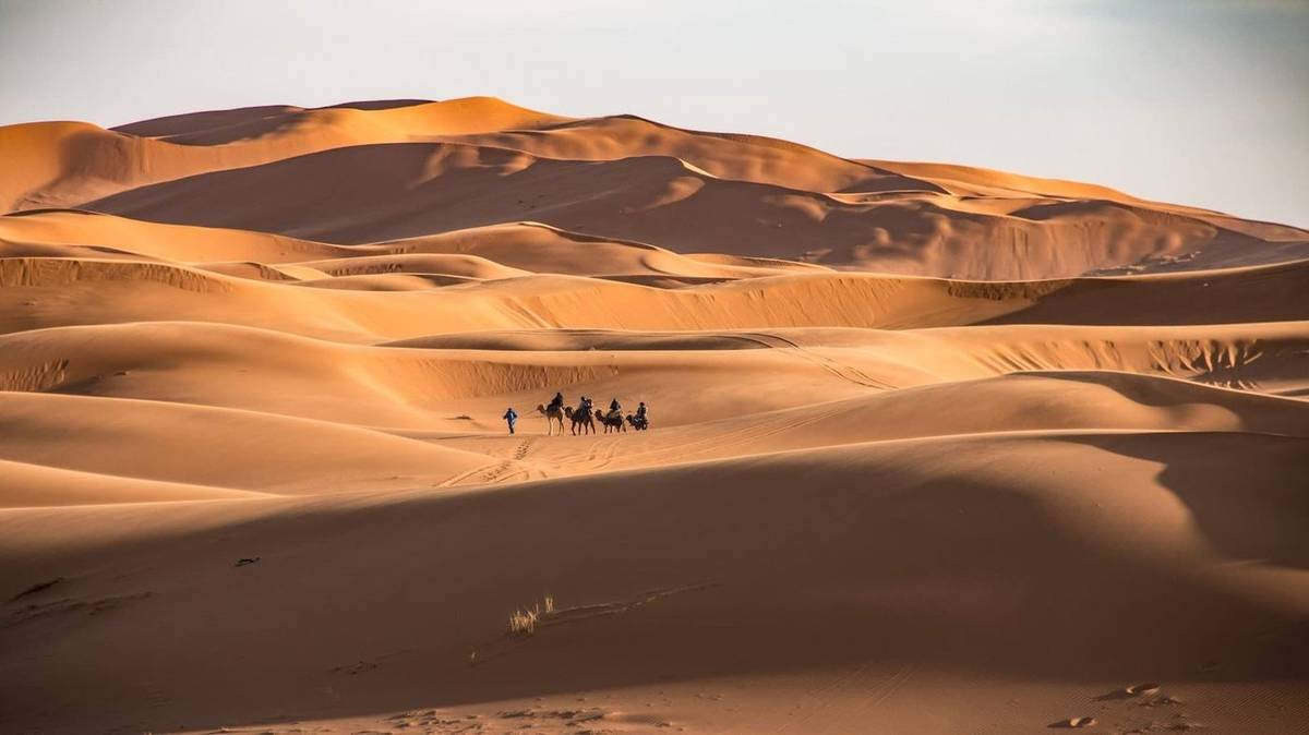 8-Day Morocco Tour from Tangier to Marrakech