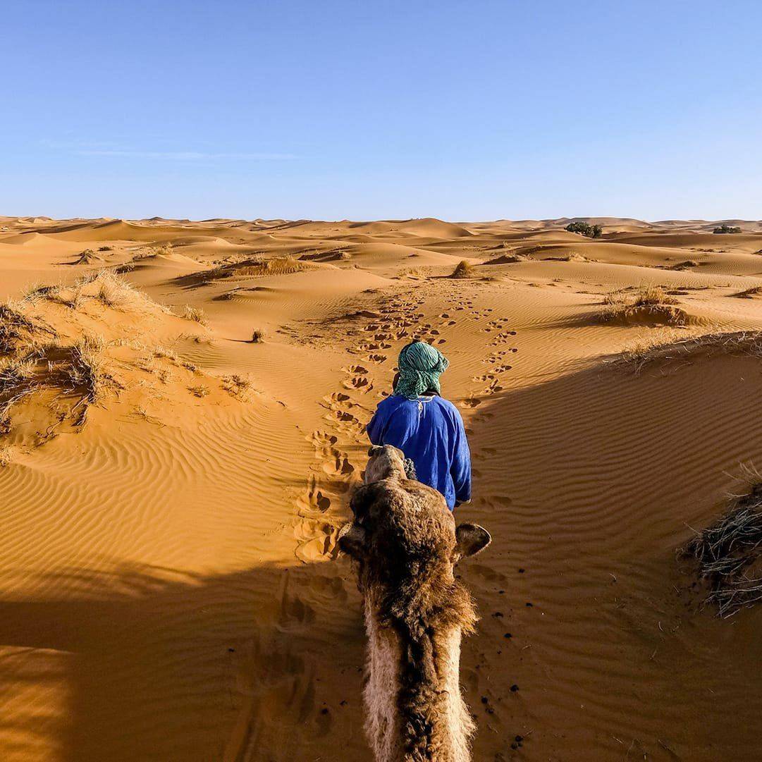 9-Day Imperial Cities and Desert Tour from Marrakech