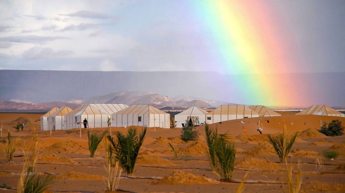 9-Day Imperial Cities and Desert Tour from Marrakech